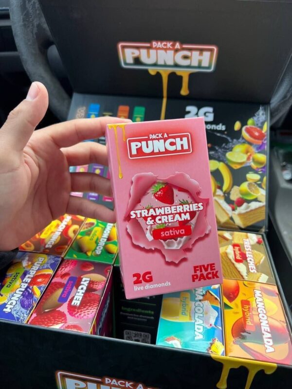 PACK PUNCH 2g DISPOSABLE