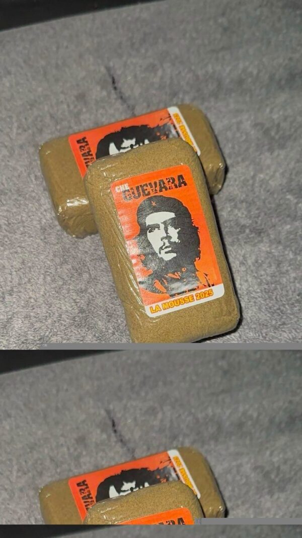 GUEVARA 2025